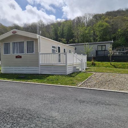 The Tiddler - Plot 101, Woodlands Lodge Retreat, New Quay, West Wales Llanina Exteriör bild